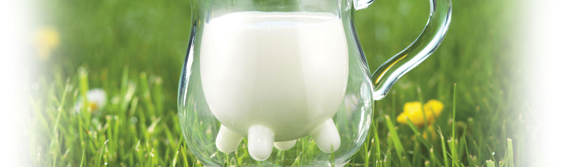Laiterie SLVA - Emballage, sécurité et qualité du lait